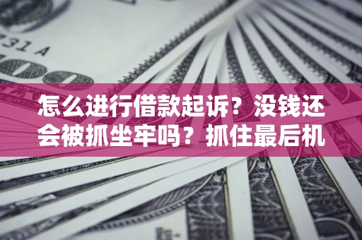 北京怎么进行借款起诉？没钱还会被抓坐牢吗？抓住最后机会！