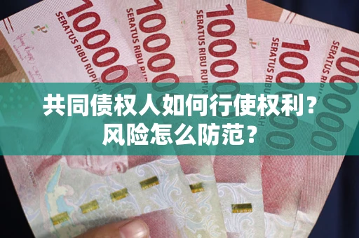 北京共同债权人如何行使权利？风险怎么防范？