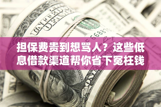 北京担保费贵到想骂人？这些低息借款渠道帮你省下冤枉钱